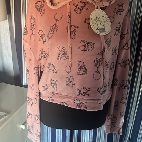 Brand new with tags Disney Winnie the Pooh pink velour cropped hoodie size lg. - Picture 2 of 6